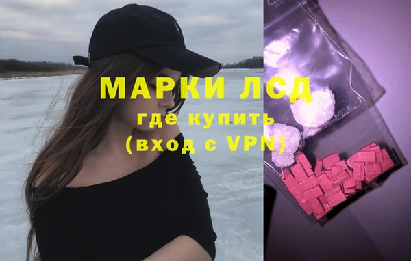 индика Балахна