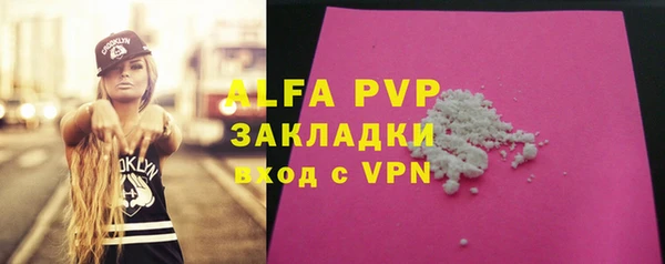 индика Балахна