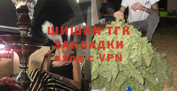 индика Балахна