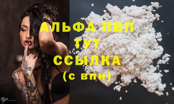 индика Балахна