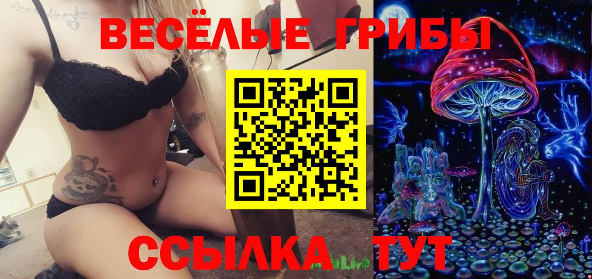 Псилоцибиновые грибы Magic Shrooms  Галлюциногенные грибы GOLDEN TEACHER  Губаха  Вход с VPN 