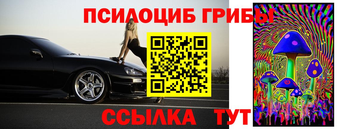 Галлюциногенные грибы Cubensis Губаха